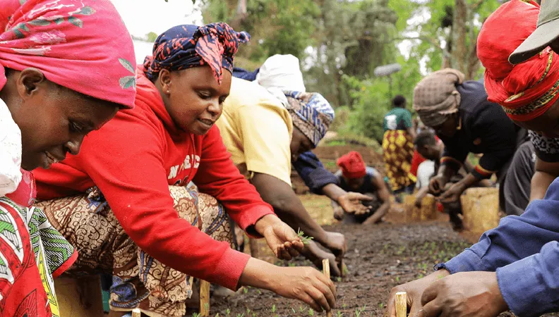 Femmes et hommes réalisant des plantations