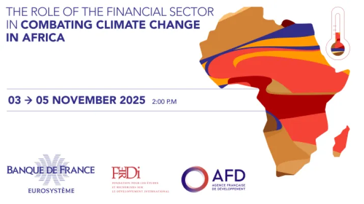 International conference BDF-AFD-FERDI