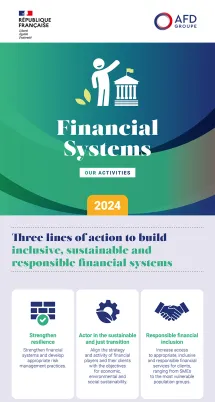 Infographic – Our Activity to Support Financial Systems in 2024