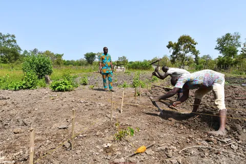 Savalou - Centre permanent d’expérimentation du coton