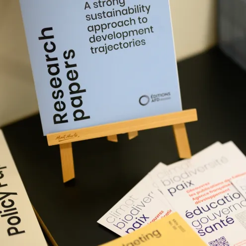 Some AFD research publications.