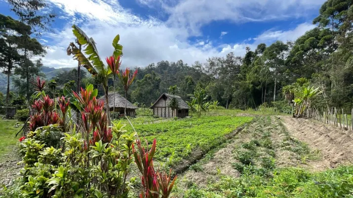Papouasie-Nouvelle-Guinée
