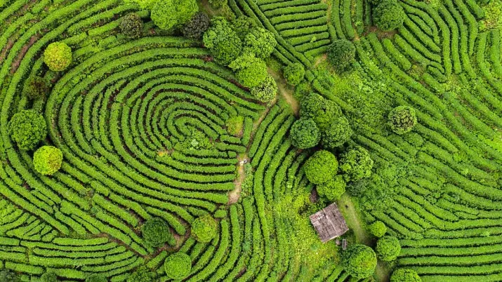 IDFC, un réseau de 26 banques de développement nationales, régionales et bilatérales