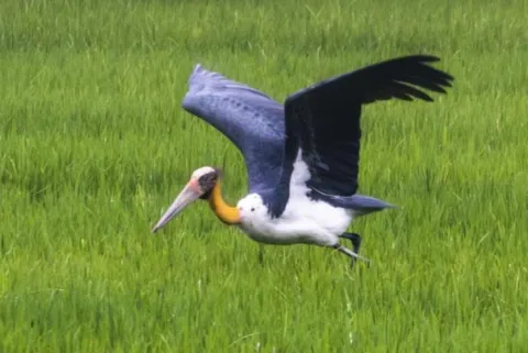 L’analyse de développement durable, AFD