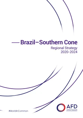 Brazil–Southern Cone Regional Strategy2020-2024