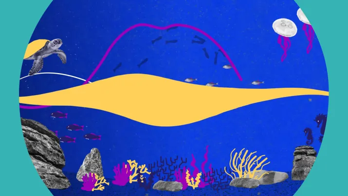 vignette Le groupe AFD et la méditerranée 